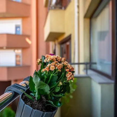 апартамен за гости панови Apartment