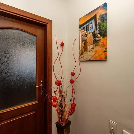 апартамен за гости панови Apartment Plovdiv