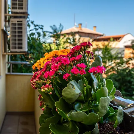 апартамен за гости панови Apartment Plovdiv