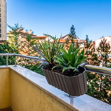 Апартамен За Гости Панови Plovdiv